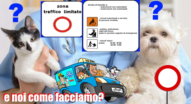 4317618_1620_veterinari_cani_gatti_e_pluto_ambulanza1.jpg