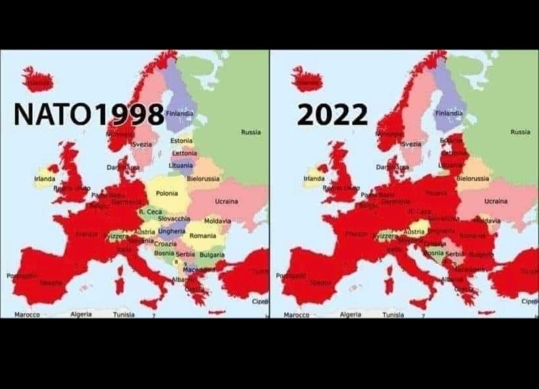 Nato-1998-2022.jpeg