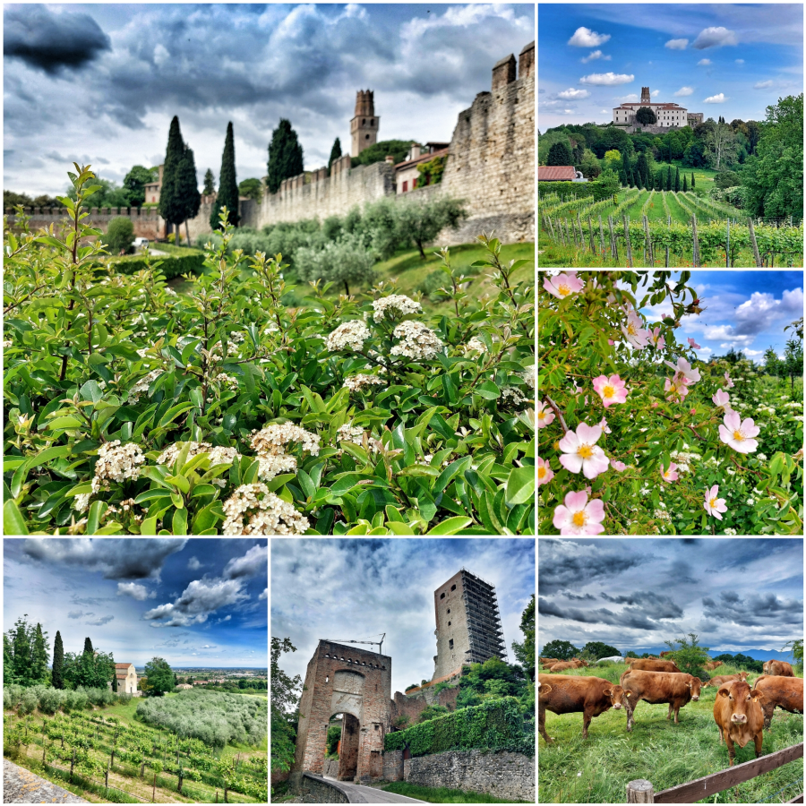 passeggiata_castello_susegana.png